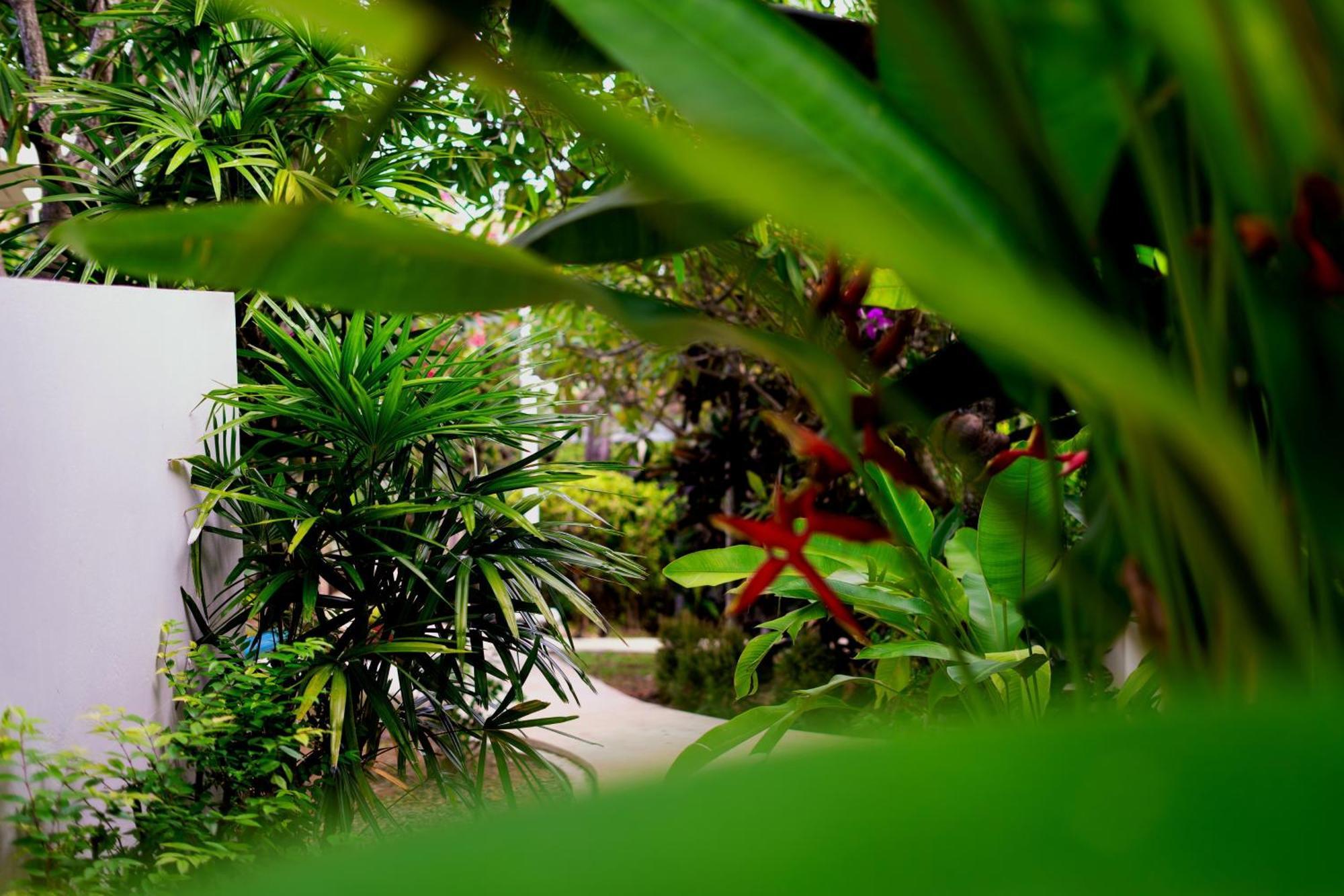 Orchid Lodge Samui - Bed & Breakfast شاطئ لاماي المظهر الخارجي الصورة