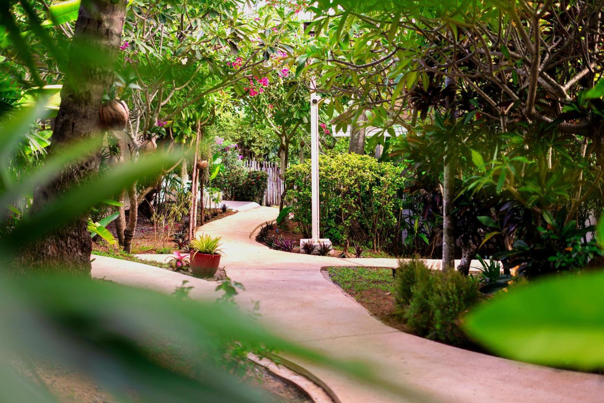 Orchid Lodge Samui - Bed & Breakfast شاطئ لاماي المظهر الخارجي الصورة