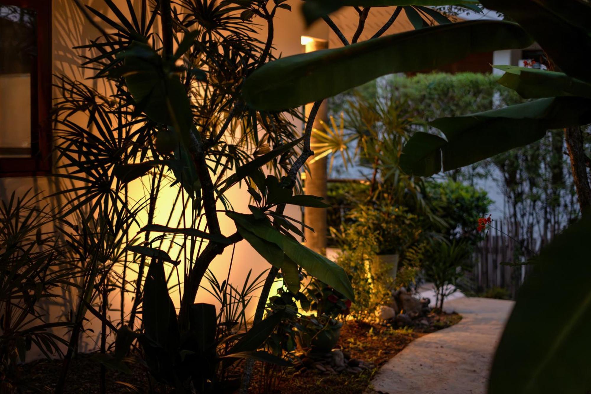 Orchid Lodge Samui - Bed & Breakfast شاطئ لاماي الغرفة الصورة